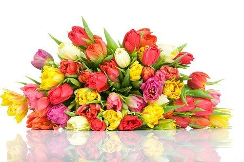 Вітаємо з Всеукраїнським Днем психолога
